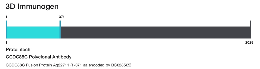 CCDC88C Polyclonal Antibody