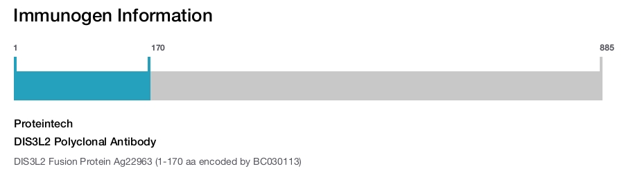 DIS3L2 Polyclonal Antibody