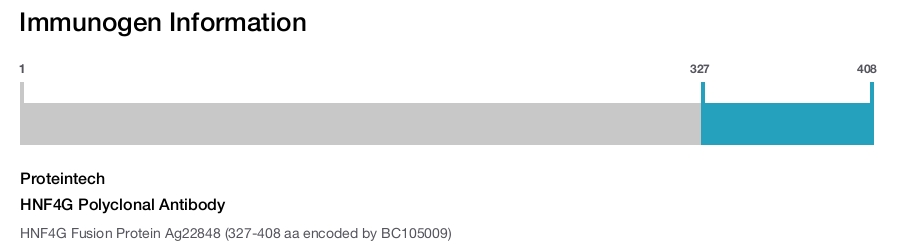 HNF4G Polyclonal Antibody