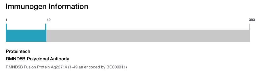 RMND5B Polyclonal Antibody