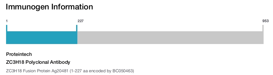 ZC3H18 Polyclonal Antibody