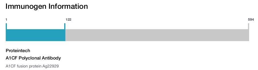 A1CF Polyclonal Antibody