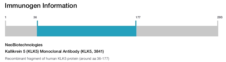 Kallikrein 5 (KLK5) Monoclonal Antibody (KLK5, 3841)