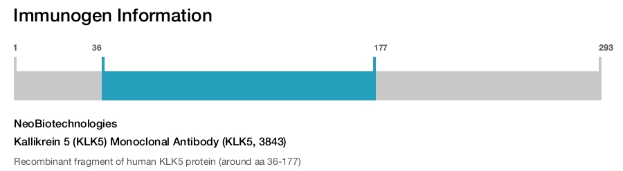 Kallikrein 5 (KLK5) Monoclonal Antibody (KLK5, 3843)
