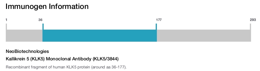 Kallikrein 5 (KLK5) Monoclonal Antibody (KLK5/3844)
