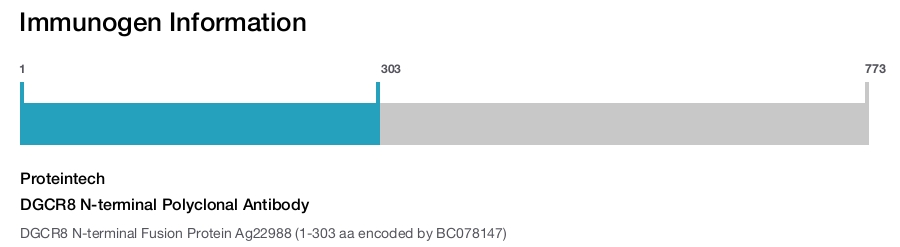 DGCR8 N-terminal Polyclonal Antibody