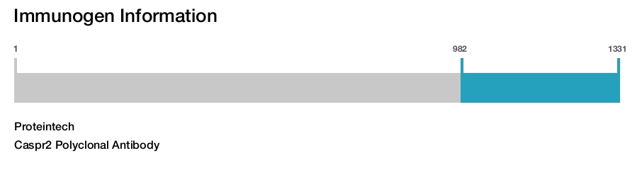 Caspr2 Polyclonal Antibody