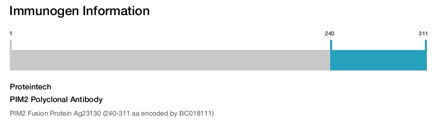 PIM2 Polyclonal Antibody