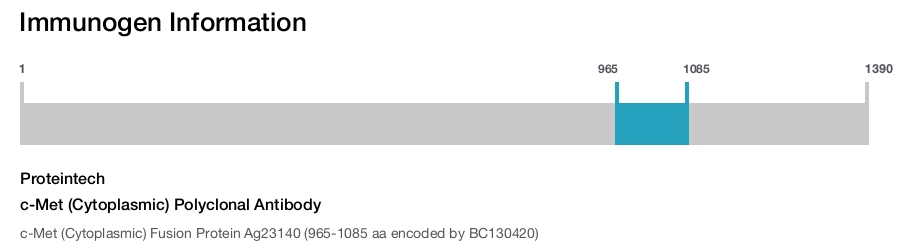 c-Met (Cytoplasmic) Polyclonal Antibody