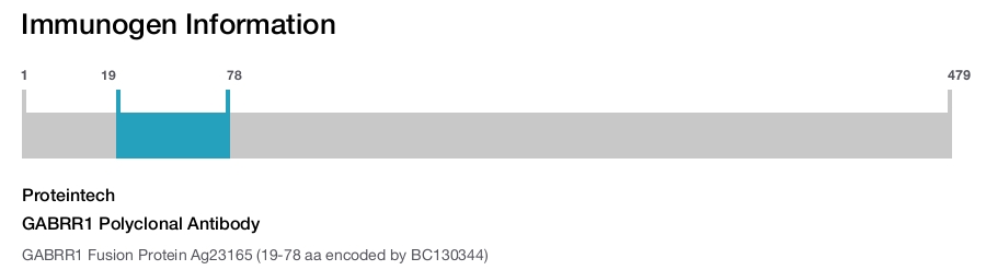 GABRR1 Polyclonal Antibody