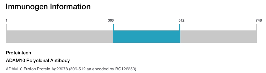 ADAM10 Polyclonal Antibody