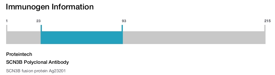 SCN3B Polyclonal Antibody