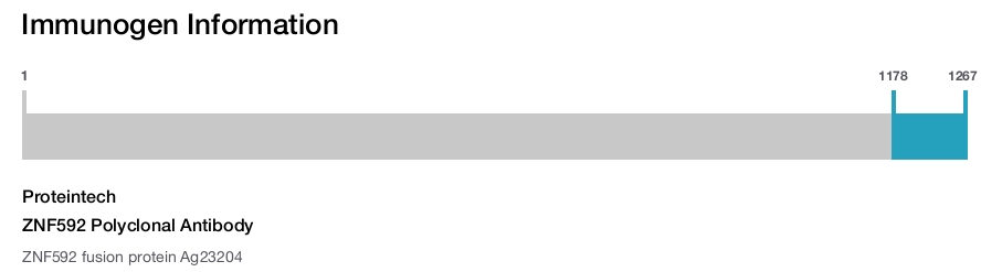 ZNF592 Polyclonal Antibody