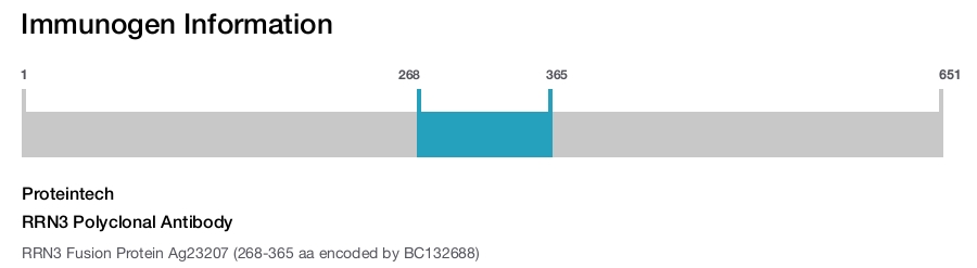 RRN3 Polyclonal Antibody