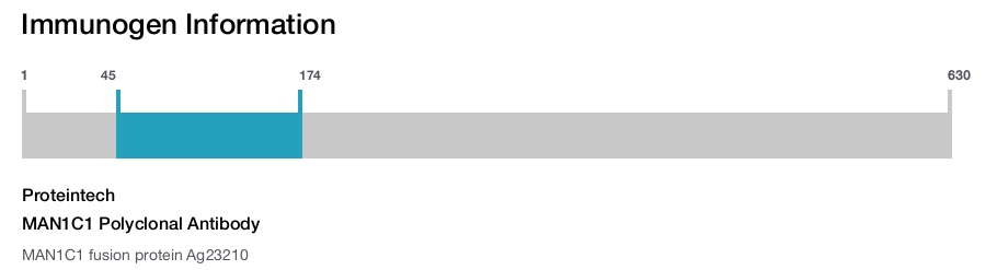 MAN1C1 Polyclonal Antibody