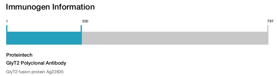 GlyT2 Polyclonal Antibody