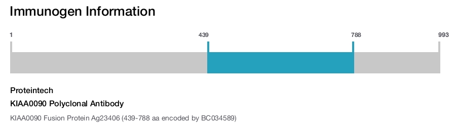 KIAA0090 Polyclonal Antibody