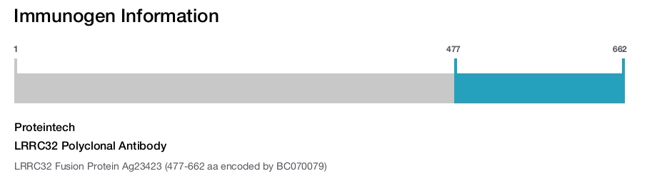 LRRC32 Polyclonal Antibody