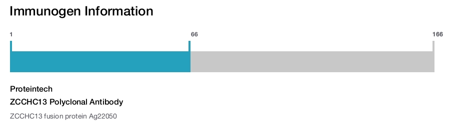 ZCCHC13 Polyclonal Antibody