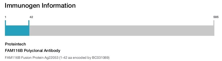FAM116B Polyclonal Antibody