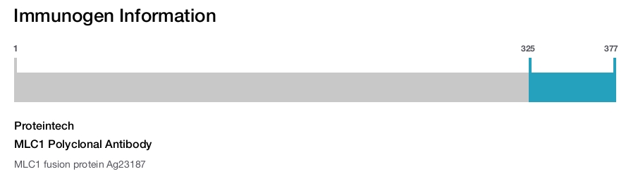 MLC1 Polyclonal Antibody