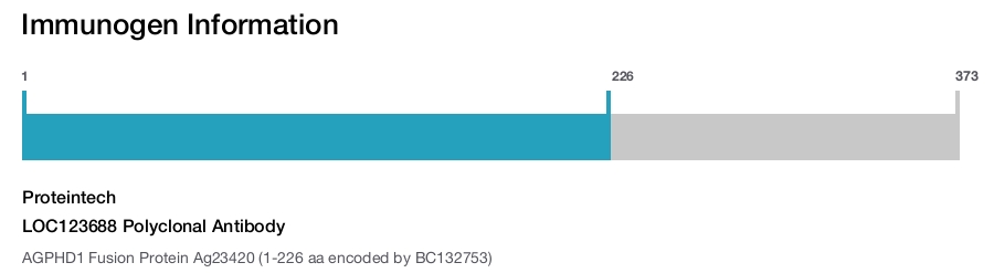 LOC123688 Polyclonal Antibody