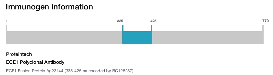 ECE1 Polyclonal Antibody