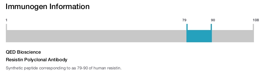 Resistin Polyclonal Antibody