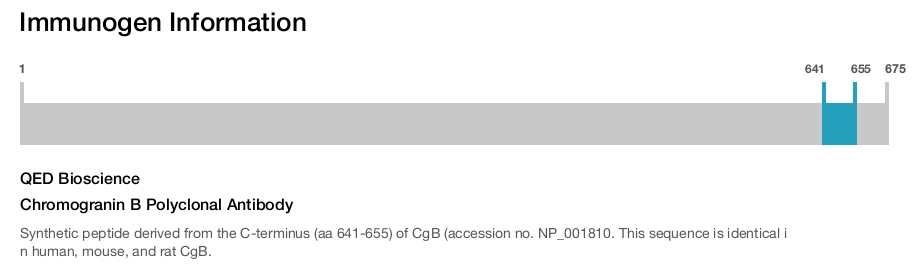 Chromogranin B Polyclonal Antibody