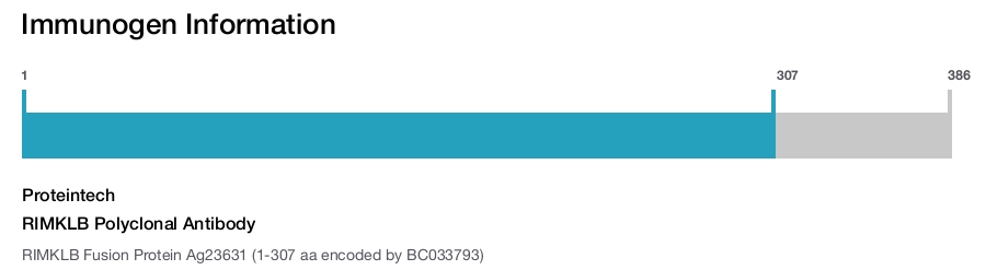 RIMKLB Polyclonal Antibody
