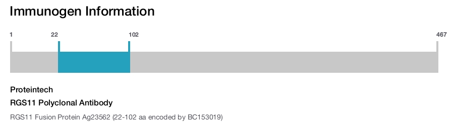 RGS11 Polyclonal Antibody