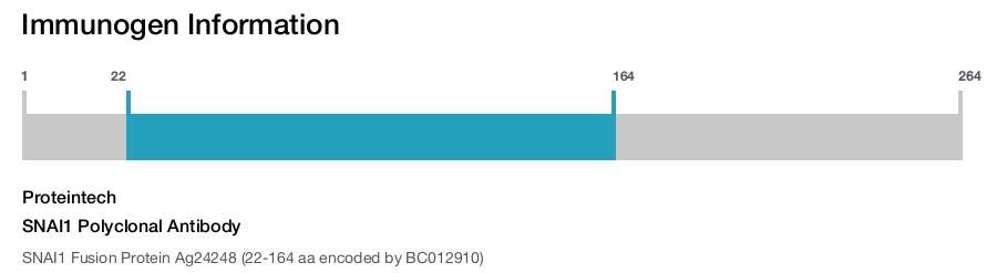 SNAI1 Polyclonal Antibody