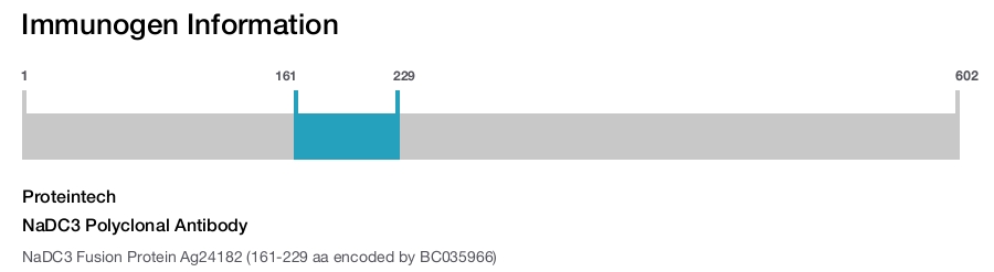 NaDC3 Polyclonal Antibody