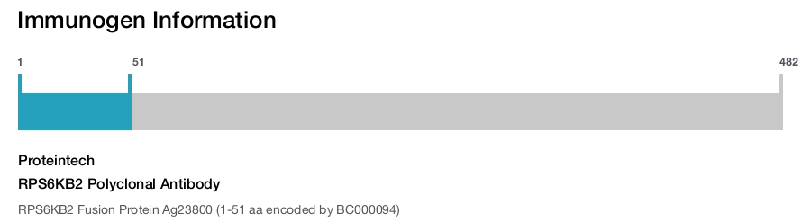 RPS6KB2 Polyclonal Antibody