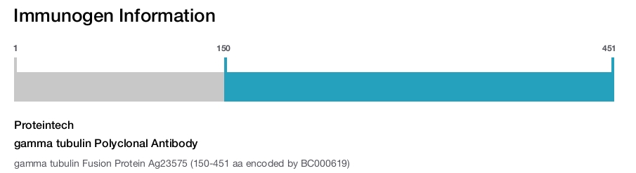 gamma tubulin Polyclonal Antibody