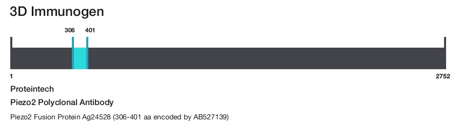 Piezo2 Polyclonal Antibody