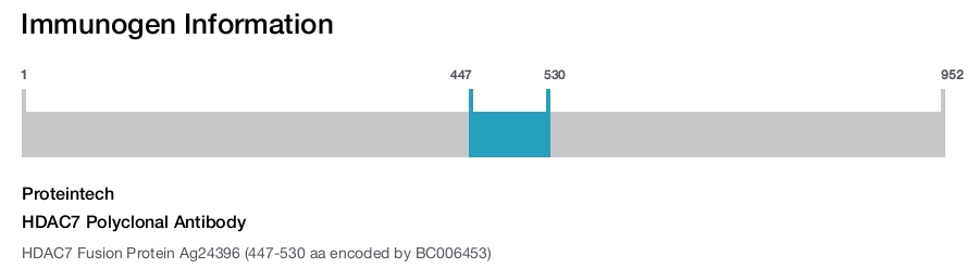 HDAC7 Polyclonal Antibody