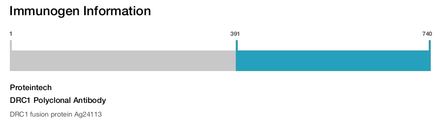 DRC1 Polyclonal Antibody