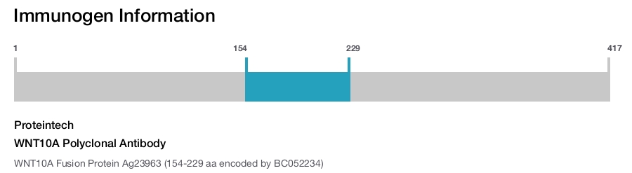 WNT10A Polyclonal Antibody