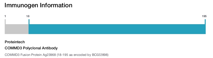 COMMD3 Polyclonal Antibody