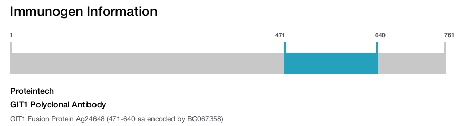 GIT1 Polyclonal Antibody