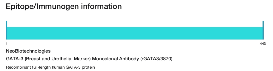 GATA-3 (Breast and Urothelial Marker) Monoclonal Antibody (rGATA3/3870)
