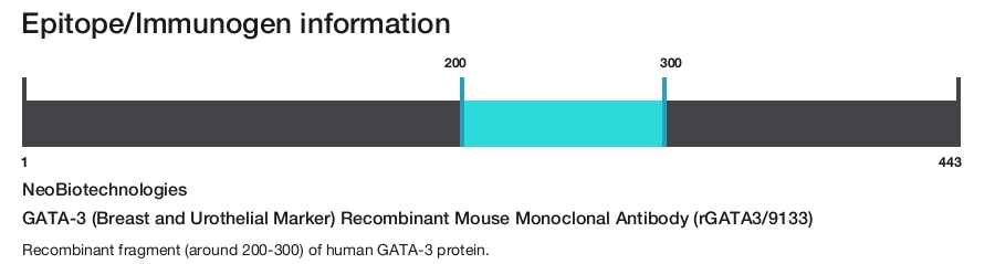 GATA-3 (Breast and Urothelial Marker) Recombinant Mouse Monoclonal Antibody (rGATA3/9133)