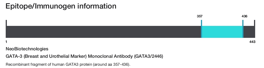 GATA-3 (Breast and Urothelial Marker) Monoclonal Antibody (GATA3/2446)
