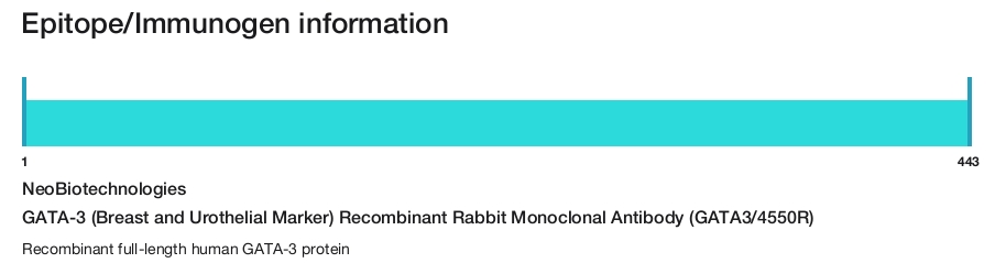 GATA-3 (Breast and Urothelial Marker) Recombinant Rabbit Monoclonal Antibody (GATA3/4550R)