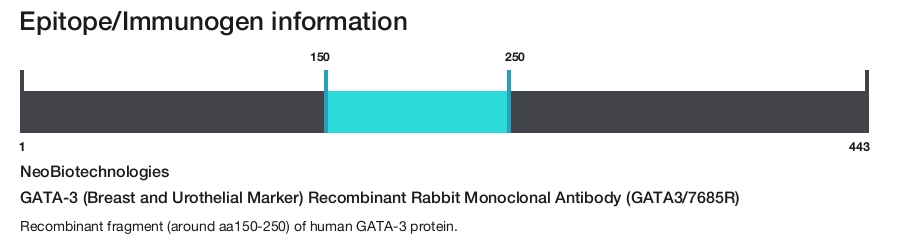 GATA-3 (Breast and Urothelial Marker) Recombinant Rabbit Monoclonal Antibody (GATA3/7685R)