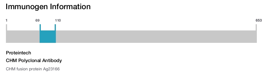 CHM Polyclonal Antibody