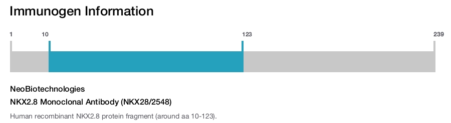 NKX2.8 Monoclonal Antibody (NKX28/2548)