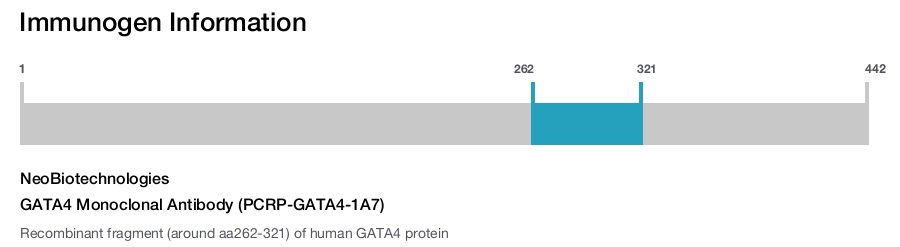 GATA4 Monoclonal Antibody (PCRP-GATA4-1A7)