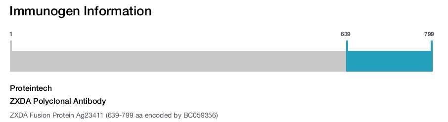 ZXDA Polyclonal Antibody